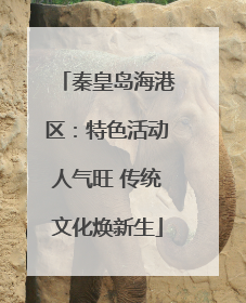 秦皇岛海港区：特色活动人气旺 传统文化焕新生