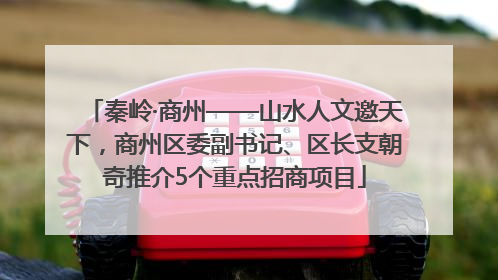 秦岭·商州——山水人文邀天下，商州区委副书记、区长支朝奇推介5个重点招商项目