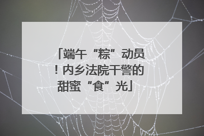端午“粽”动员！内乡法院干警的甜蜜“食”光