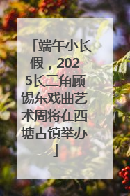 端午小长假，2025长三角顾锡东戏曲艺术周将在西塘古镇举办