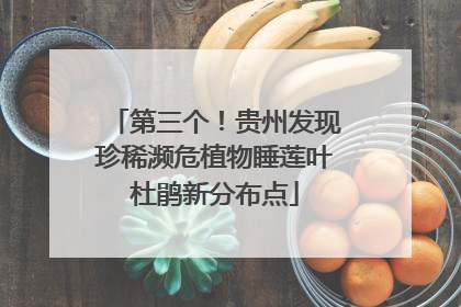 第三个！贵州发现珍稀濒危植物睡莲叶杜鹃新分布点
