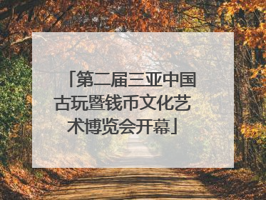 第二届三亚中国古玩暨钱币文化艺术博览会开幕