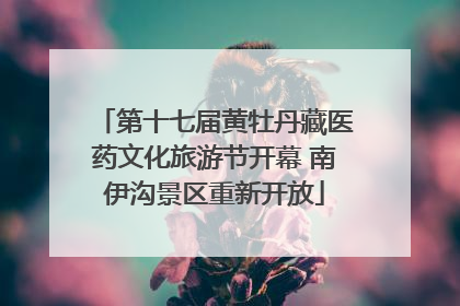 第十七届黄牡丹藏医药文化旅游节开幕 南伊沟景区重新开放