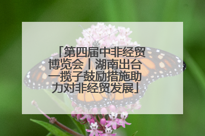 第四届中非经贸博览会丨湖南出台一揽子鼓励措施助力对非经贸发展