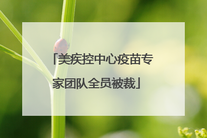 美疾控中心疫苗专家团队全员被裁