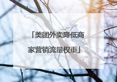 美团外卖降低商家营销流量权重