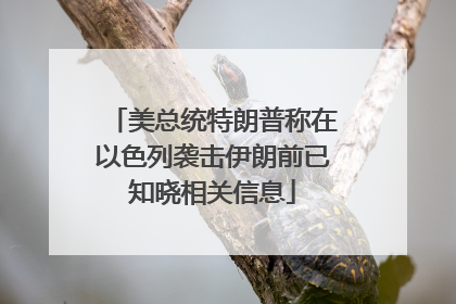 美总统特朗普称在以色列袭击伊朗前已知晓相关信息