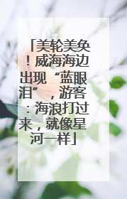 美轮美奂！威海海边出现“蓝眼泪”，游客：海浪打过来，就像星河一样