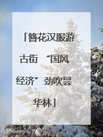 簪花汉服游古街 “国风经济”劲吹昙华林