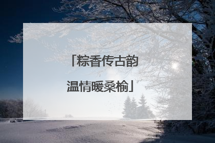 粽香传古韵 温情暖桑榆