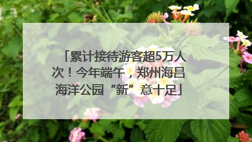 累计接待游客超5万人次！今年端午，郑州海昌海洋公园“新”意十足