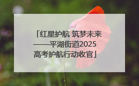 红星护航 筑梦未来——平湖街道2025高考护航行动收官