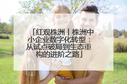 红观株洲丨株洲中小企业数字化转型：从试点破局到生态重构的进阶之路
