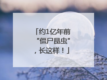 约1亿年前“僵尸昆虫”，长这样！