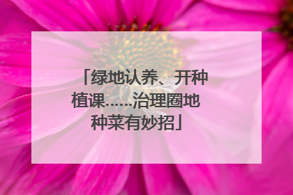 绿地认养、开种植课……治理圈地种菜有妙招