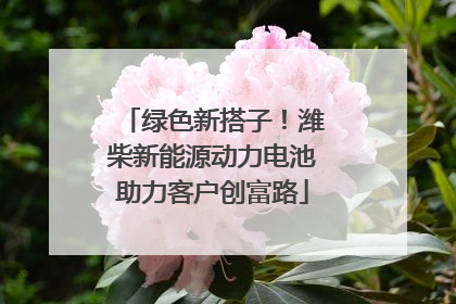 绿色新搭子！潍柴新能源动力电池助力客户创富路