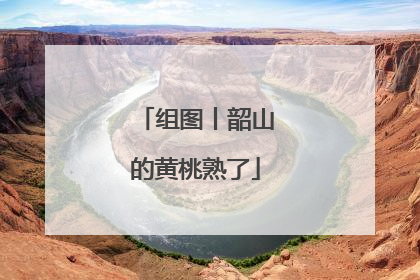 组图丨韶山的黄桃熟了