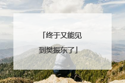 终于又能见到樊振东了