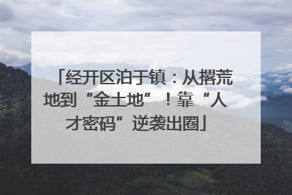 经开区泊于镇：从撂荒地到“金土地”！靠“人才密码”逆袭出圈