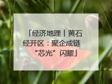 经济地理丨黄石经开区：聚企成链“芯光”闪耀