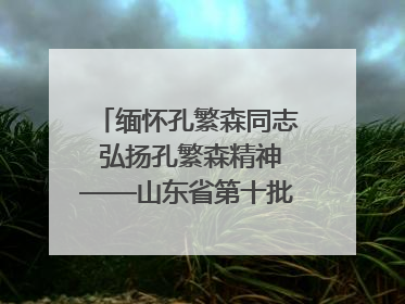 缅怀孔繁森同志 弘扬孔繁森精神——山东省第十批援藏干部人才清明节前到岗巴县开展党性教育