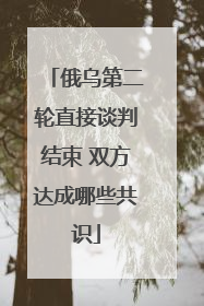 俄乌第二轮直接谈判结束 双方达成哪些共识