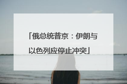 俄总统普京：伊朗与以色列应停止冲突