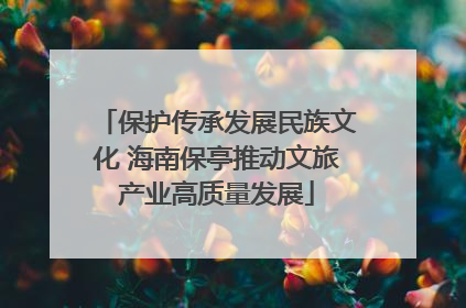 保护传承发展民族文化 海南保亭推动文旅产业高质量发展