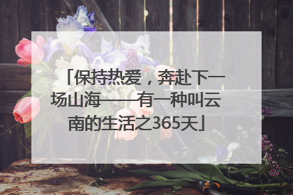 保持热爱，奔赴下一场山海——有一种叫云南的生活之365天