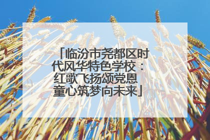 临汾市尧都区时代风华特色学校：红歌飞扬颂党恩 童心筑梦向未来