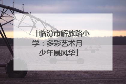 临汾市解放路小学：多彩艺术月 少年展风华