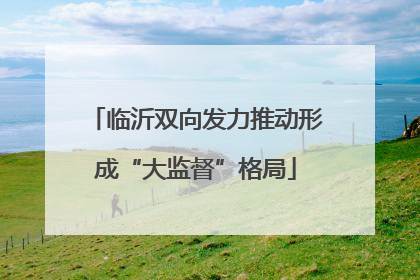 临沂双向发力推动形成“大监督”格局