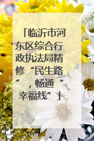 临沂市河东区综合行政执法局精修“民生路”，畅通“幸福线”