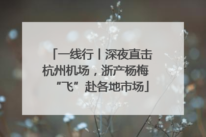 一线行丨深夜直击杭州机场，浙产杨梅“飞”赴各地市场