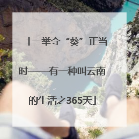 一举夺“葵”正当时——有一种叫云南的生活之365天