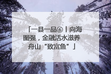 一县一品⑥丨向海图强，金融活水滋养舟山“致富鱼”