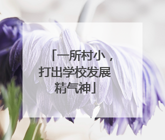 一所村小，打出学校发展精气神