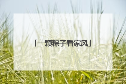 一颗粽子看家风