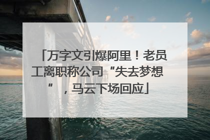 万字文引爆阿里！老员工离职称公司“失去梦想”，马云下场回应