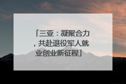 三亚：凝聚合力，共赴退役军人就业创业新征程