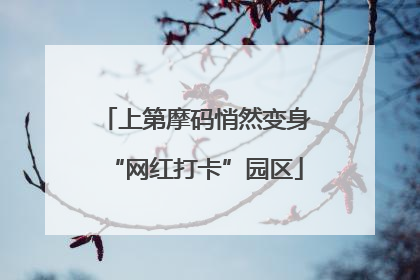 上第摩码悄然变身“网红打卡”园区
