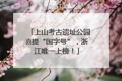 上山考古遗址公园喜提“国字号”，浙江唯一上榜！