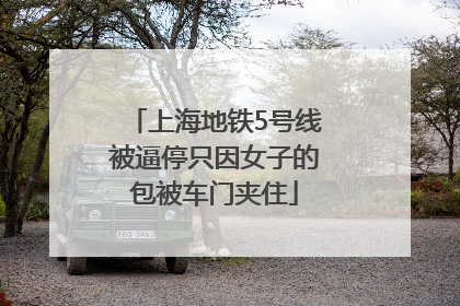 上海地铁5号线被逼停只因女子的包被车门夹住