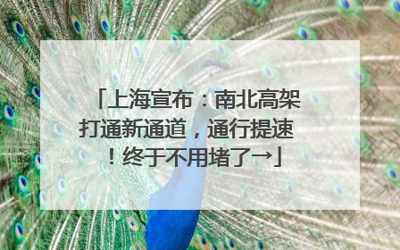 上海宣布：南北高架打通新通道，通行提速！终于不用堵了→