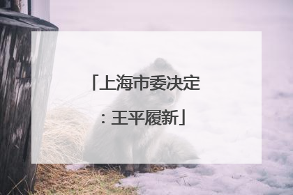 上海市委决定：王平履新