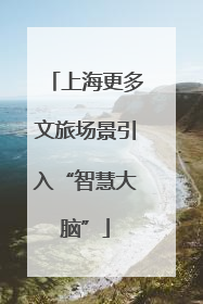 上海更多文旅场景引入“智慧大脑”