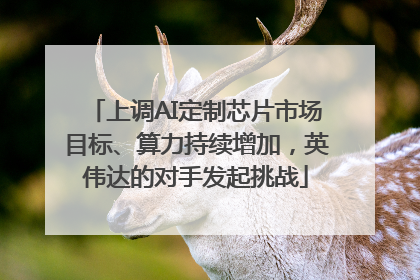 上调AI定制芯片市场目标、算力持续增加，英伟达的对手发起挑战