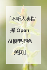 不听人类指挥 OpenAI模型拒绝关闭