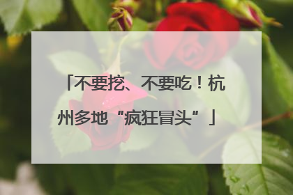 不要挖、不要吃！杭州多地“疯狂冒头”