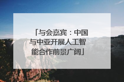 与会嘉宾：中国与中亚开展人工智能合作前景广阔